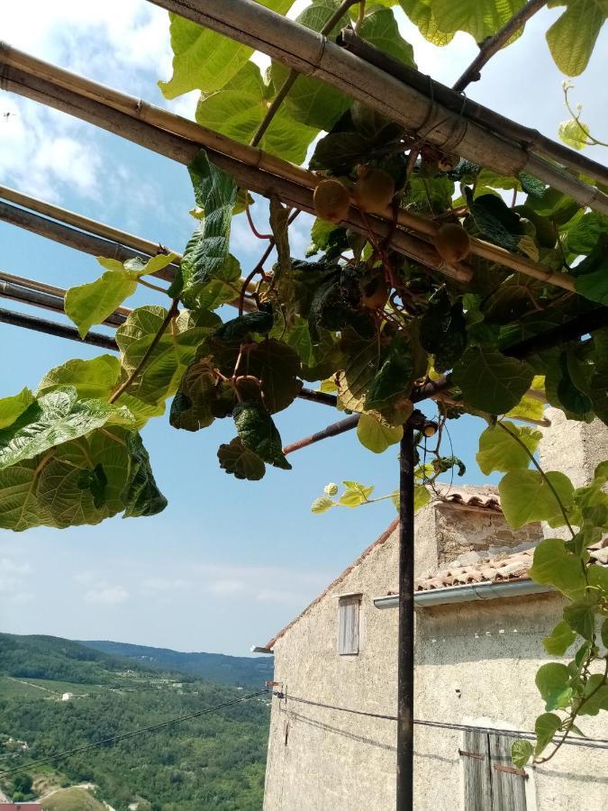 Rooms Serafin-Lavanda Motovun Luaran gambar